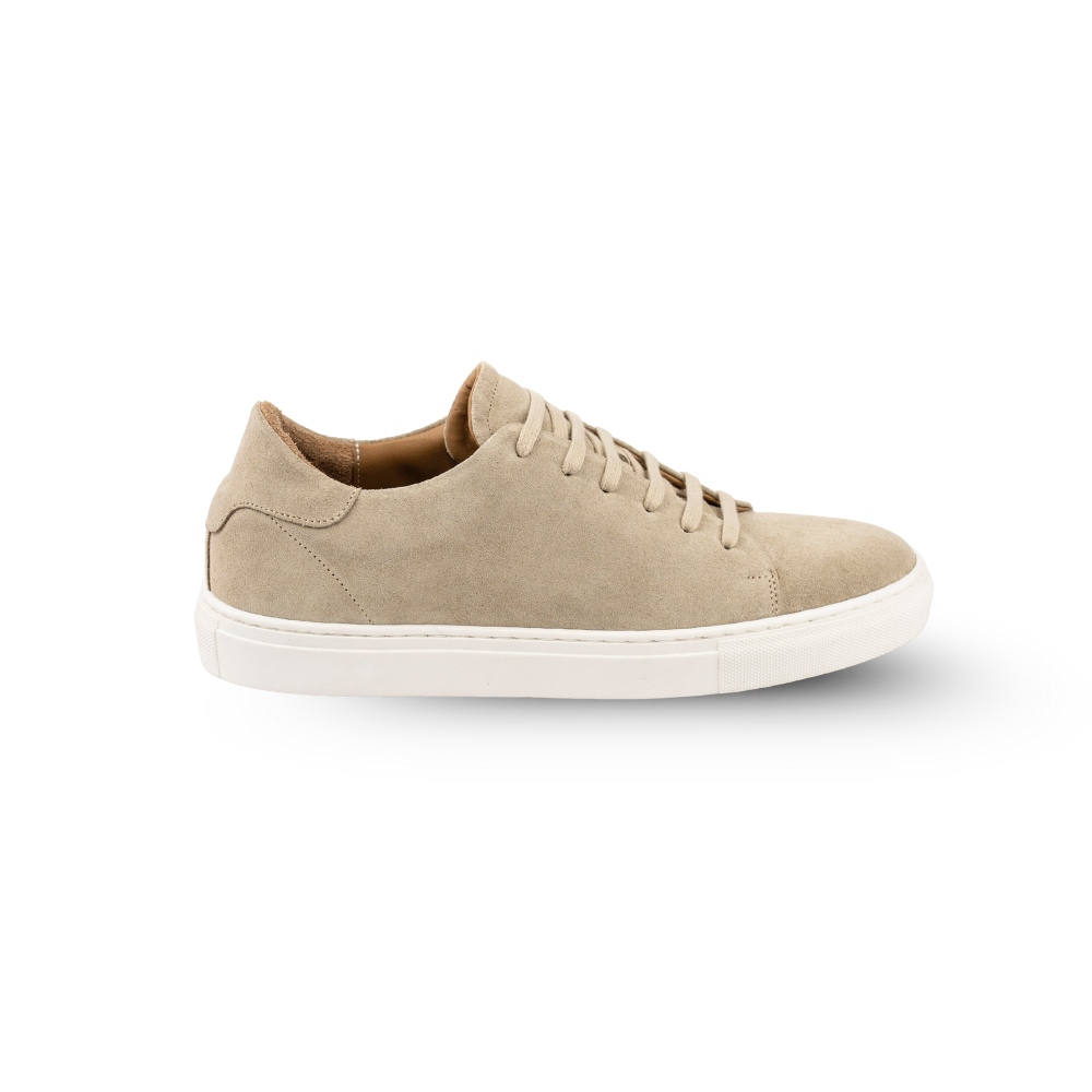 Sneakers Everyday