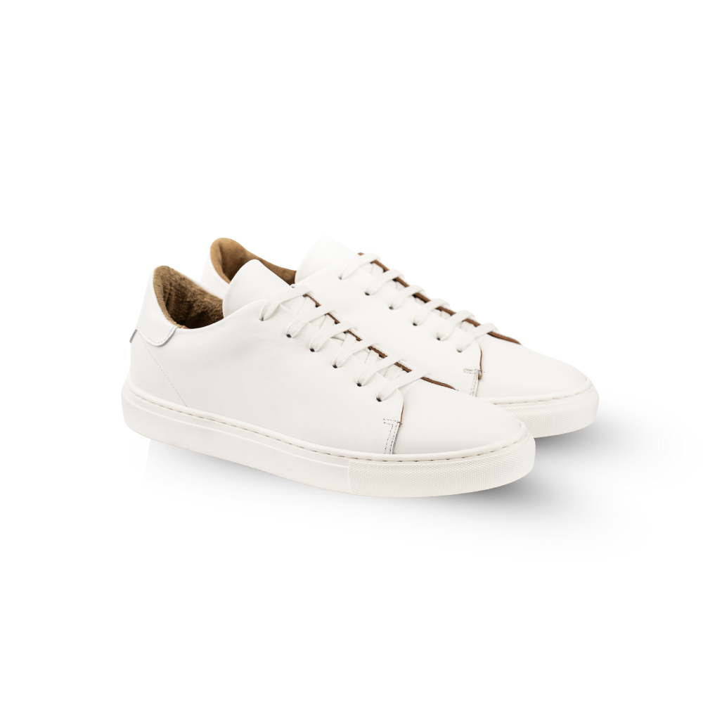 Sneakers Everyday