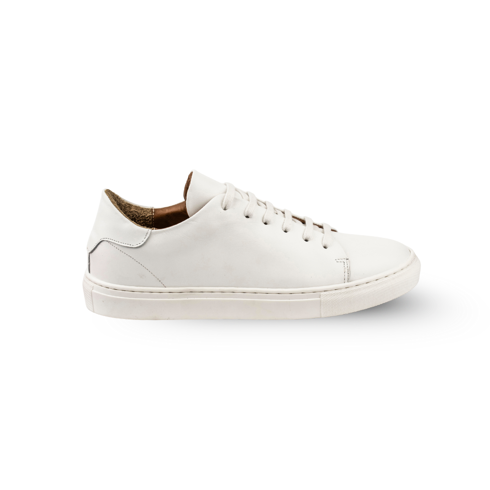 Sneakers Everyday