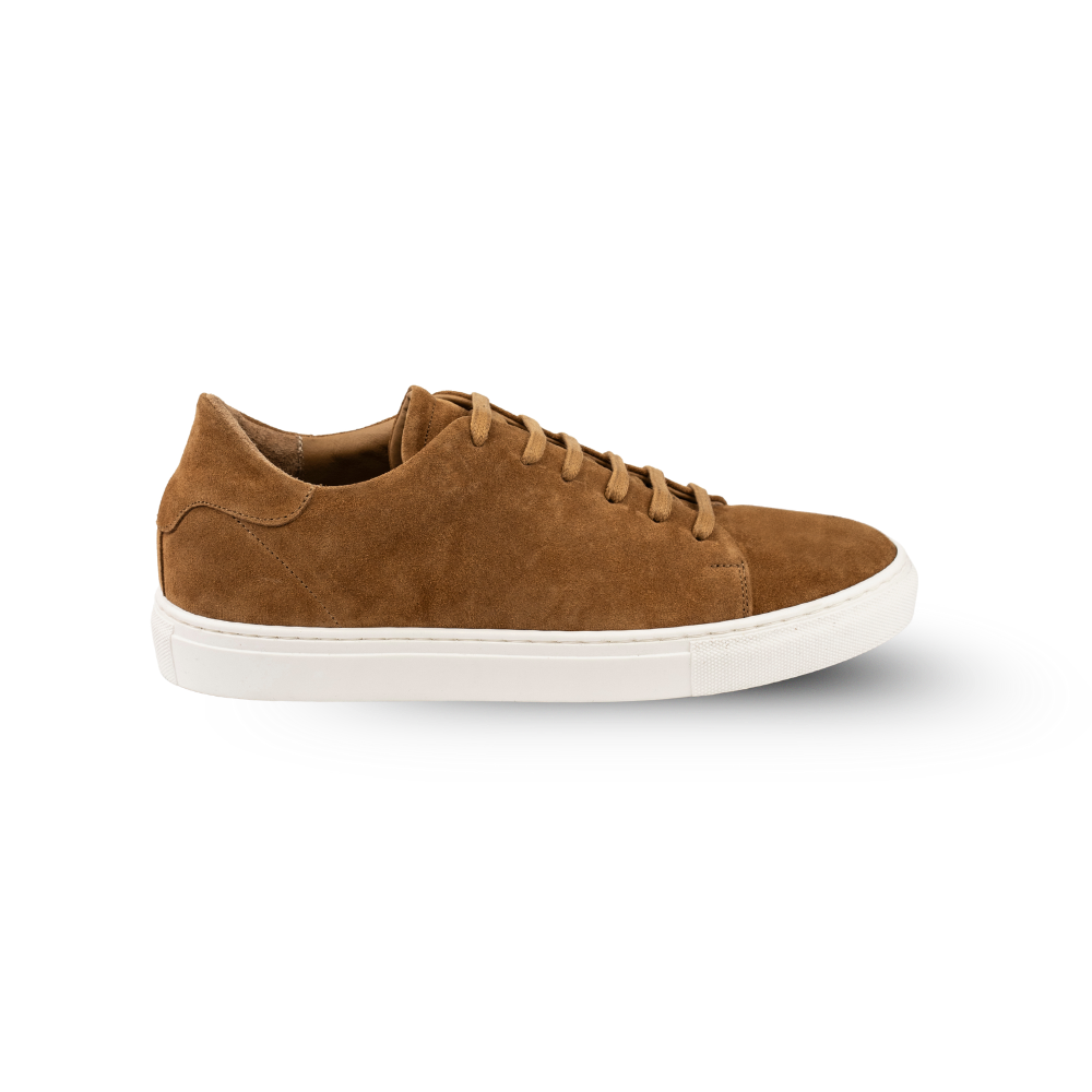 Sneakers Everyday