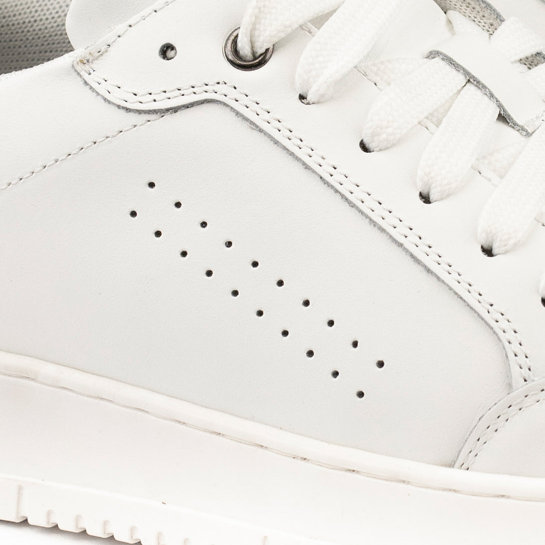 Sneakers Basket