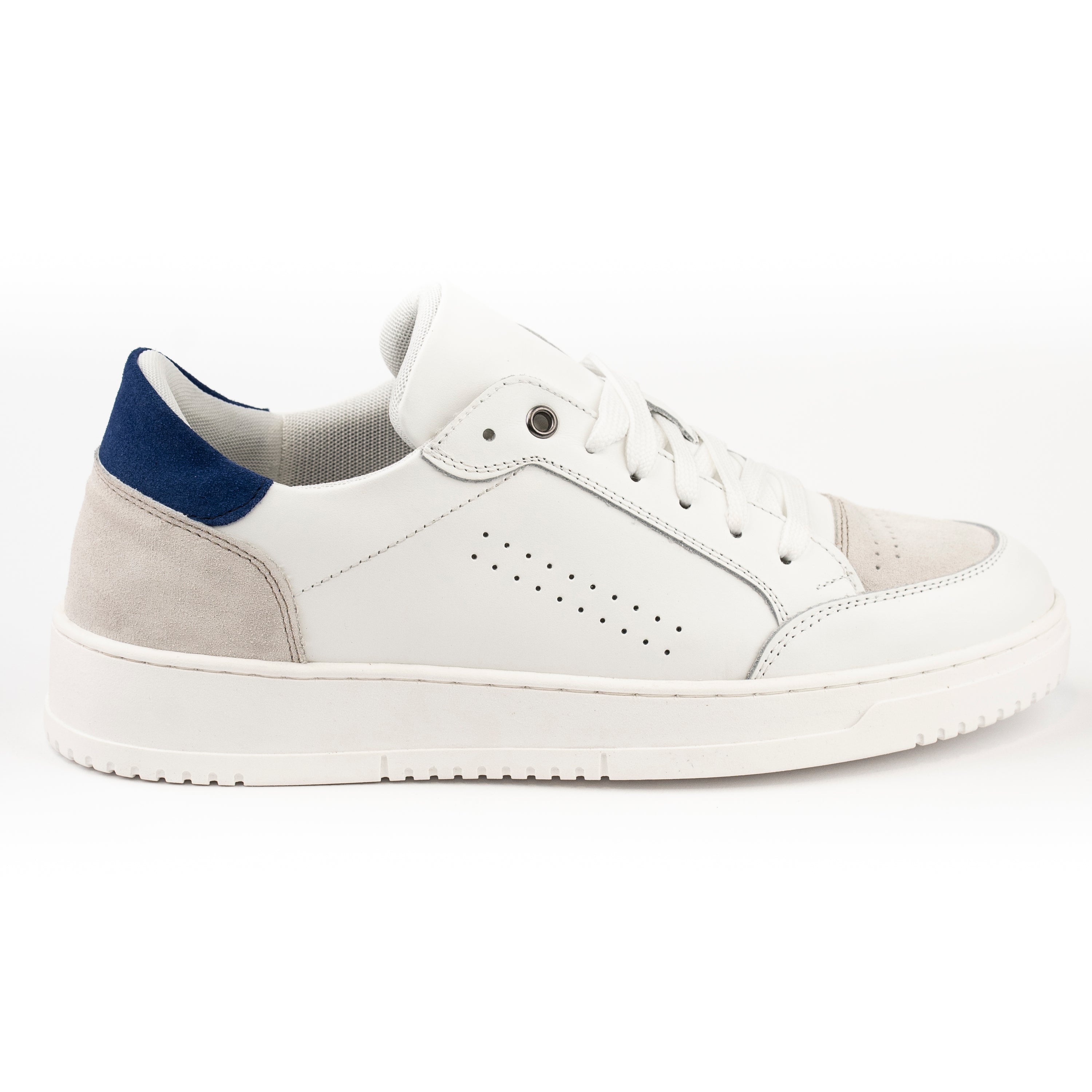 Sneakers Basket